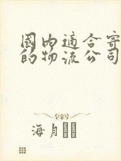 国内适合寄大件的物流公司