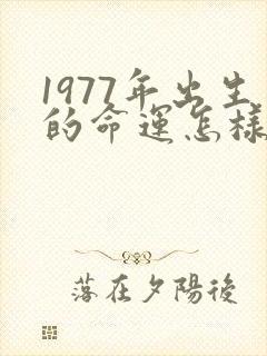 1977年出生的命运怎样