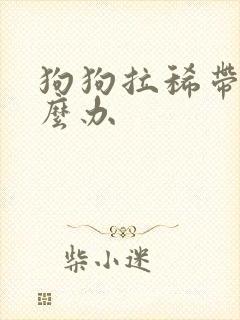 狗狗拉稀带血怎么办