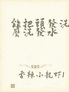 能把头发洗黑什么洗发水封面