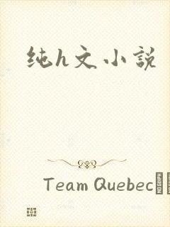 纯h文小说