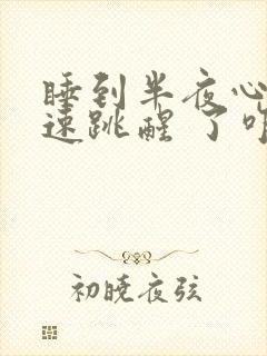 睡到半夜心跳加速跳醒 了咋回事