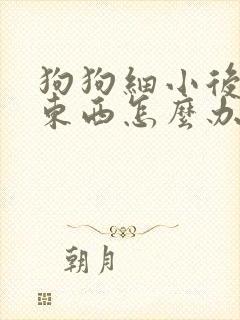 狗狗细小后不吃东西怎么办