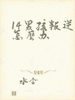 14男孩叛逆期怎么办封面