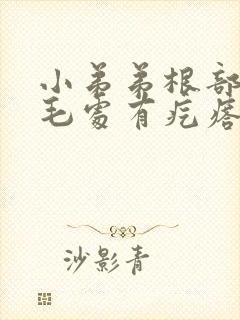 小弟弟根部和阴毛处有疙瘩