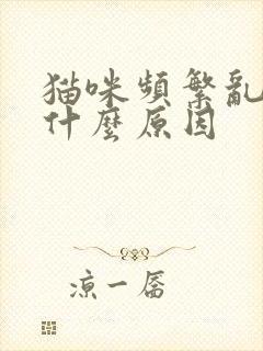 猫咪频繁乱尿是什么原因