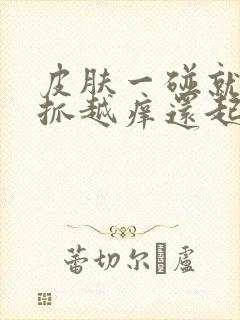 皮肤一碰就痒越抓越痒还起疙瘩