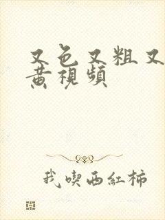 又色又粗又爽又黄视频