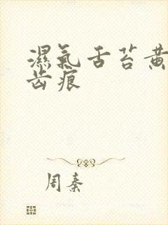 湿气舌苔黄腻有齿痕