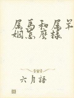 属马和属羊的婚姻怎么样