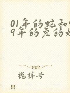01年的蛇和99年的兔的婚姻
