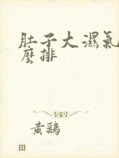 肚子大湿气重怎么排