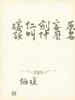 瞎仁剑客原著小说叫什么名字封面