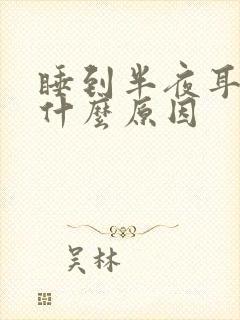 睡到半夜耳鸣是什么原因封面