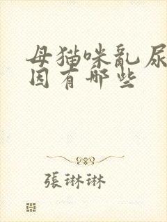 母猫咪乱尿的原因有哪些