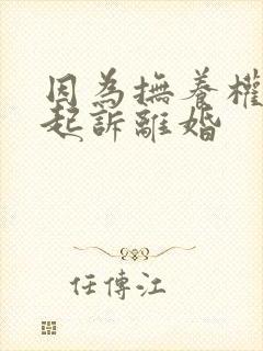 因为抚养权问题起诉离婚封面