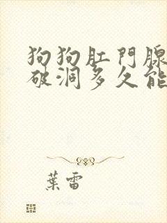 狗狗肛门腺发炎破洞多久能好封面