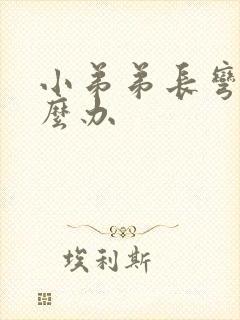 小弟弟长弯了怎么办封面