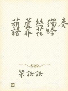 葫芦丝独奏曲简谱葬花吟