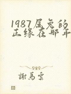 1987属兔的正缘在哪年