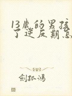 13岁的男孩到了逆反期怎么教