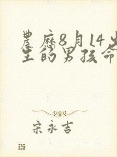 农历8月14出生的男孩命运封面