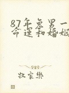 87年兔男一生命运和婚姻