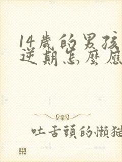 14岁的男孩叛逆期怎么应对