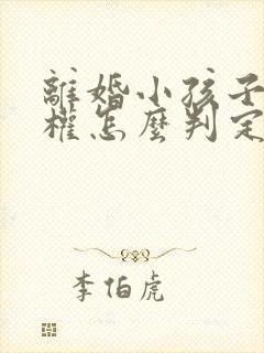 离婚小孩子抚养权怎么判定2023