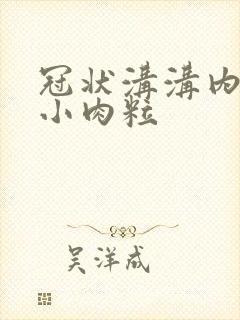 冠状沟沟内侧长小肉粒