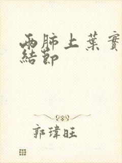 两肺上叶实性微结节