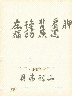 左后背肩胛骨酸痛的原因封面