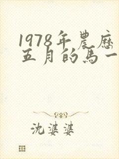 1978年农历五月的马一生的命运