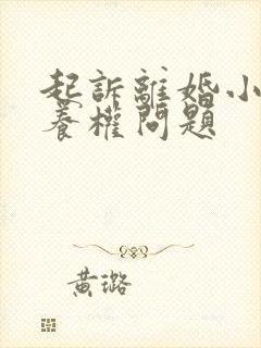 起诉离婚小孩抚养权问题