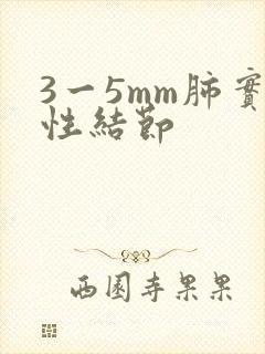 3一5mm肺实性结节