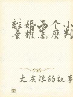 离婚两个小孩抚养权怎么判定