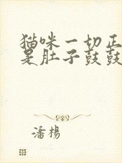 猫咪一切正常但是肚子鼓鼓的