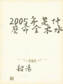 2005年是什么命金木水火土