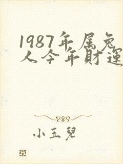 1987年属兔人今年财运好不好