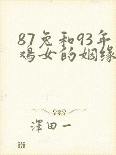 87兔和93年鸡女的姻缘