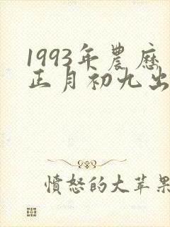1993年农历正月初九出生男孩命运