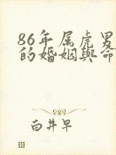 86年属虎男人的婚姻与命运