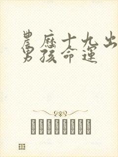 农历十九出生的男孩命运