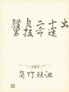 腊月二十出生的男孩命运封面