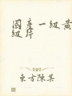 国产一级黄色一级片