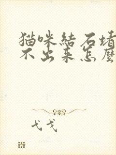 猫咪结石堵塞尿不出来怎么办封面