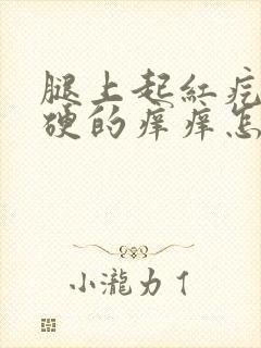 腿上起红疙瘩硬硬的痒痒怎么回事封面