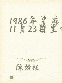 1986年农历11月23日生命运