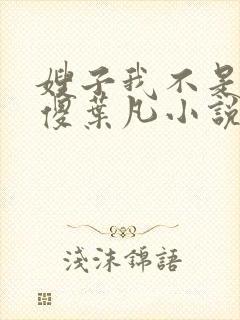 嫂子我不是真的傻叶凡小说免费阅读