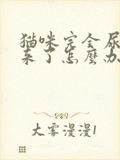 猫咪完全尿不出来了怎么办